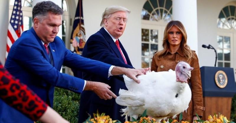 Hoy, el perdón del pavo