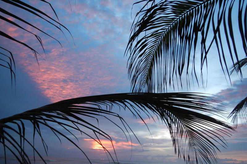 Новогодняя ночь под пальмой подешевела: хозяева отелей раскрыли причину