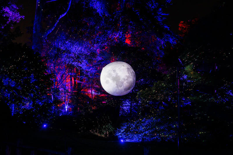 Mysterious lights seen for miles from San Francisco's Golden Gate Park