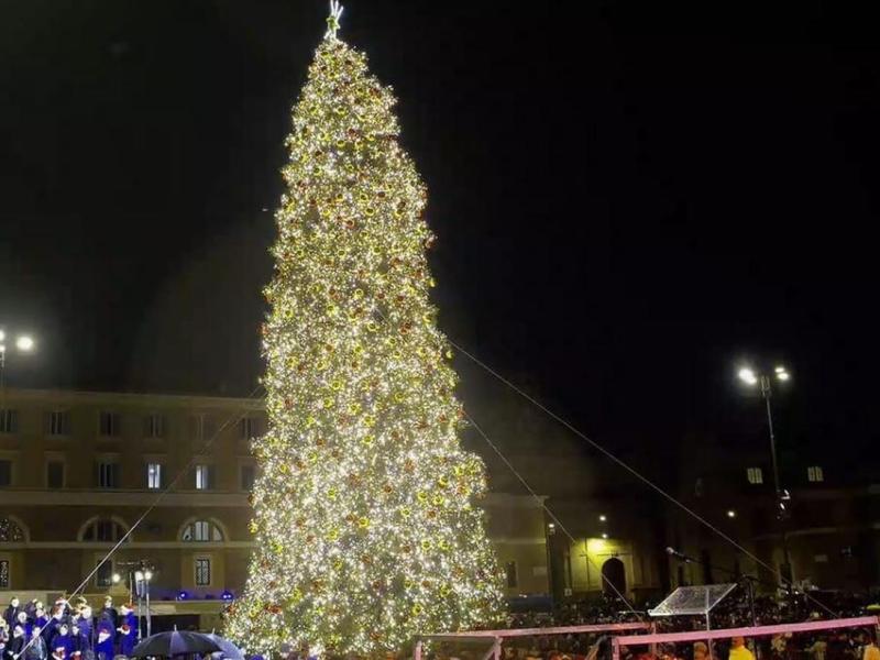 Albero di Natale di Roma: arriva l'abete di 20 metri in piazza del Popolo. Costo, 127mila euro