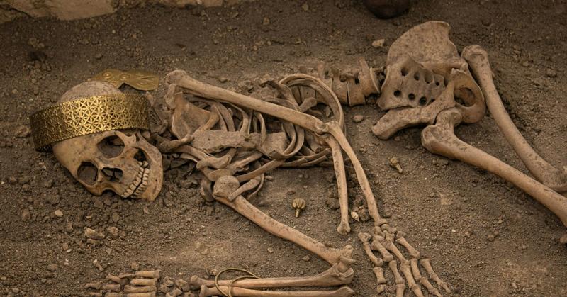 Our Stone-Age Bodies Struggle in a Modern World