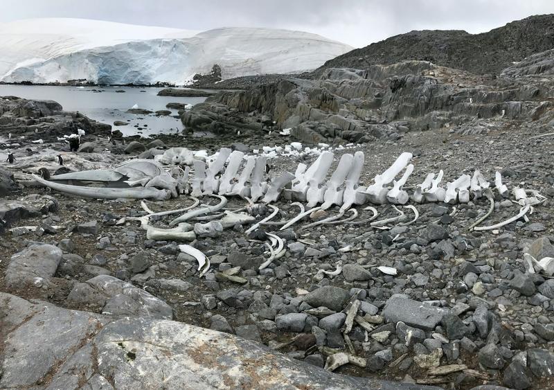 ¿Un continente sin ruinas? La Antártida, entre la protección ambiental y la memoria