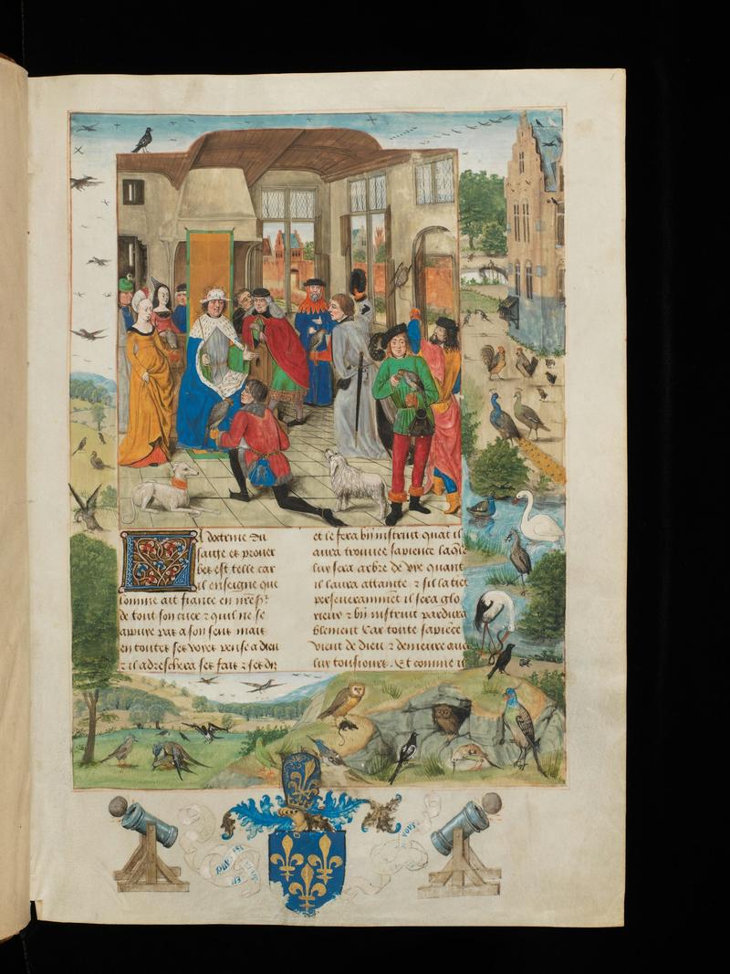 Bird sex fascinated medieval thinkers as much as people today