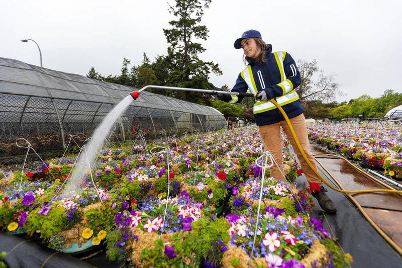 Letters Nov. 25: Praising the cycling experience; flower basket money Letters Nov. 25: Praising the cycling experience; flower basket money