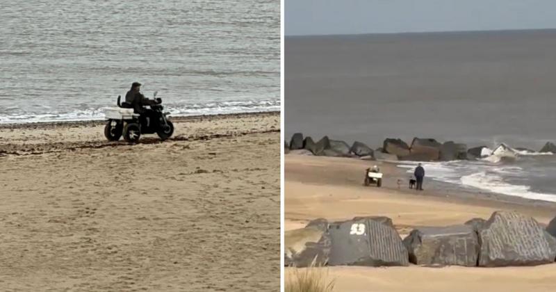 Investigation launched after 'man drove his mobility scooter at seal warden'