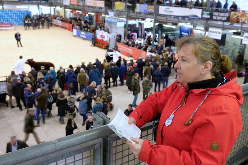 I was wowed by the wonder of the Royal Welsh Winter Fair - the agricultural event kicked off my 2025 Christmas with horses and hounds, hot cider and much more