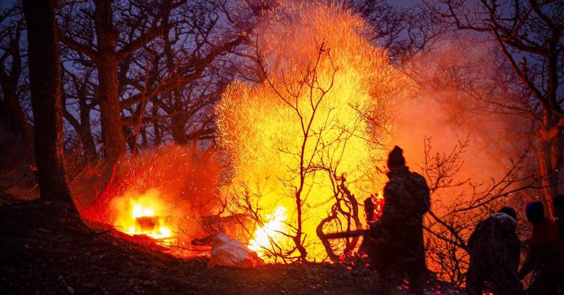 Iran’s mismanagement in focus as fires ravage 25-million-year-old forests Iran’s mismanagement in focus as fires ravage 25-million-year-old forests
