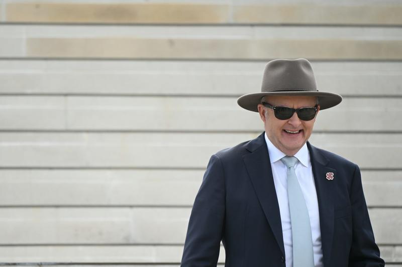 Should Albanese ‘fight Tories’ harder? Or is blandness a safe bet in a fearful, populist world?