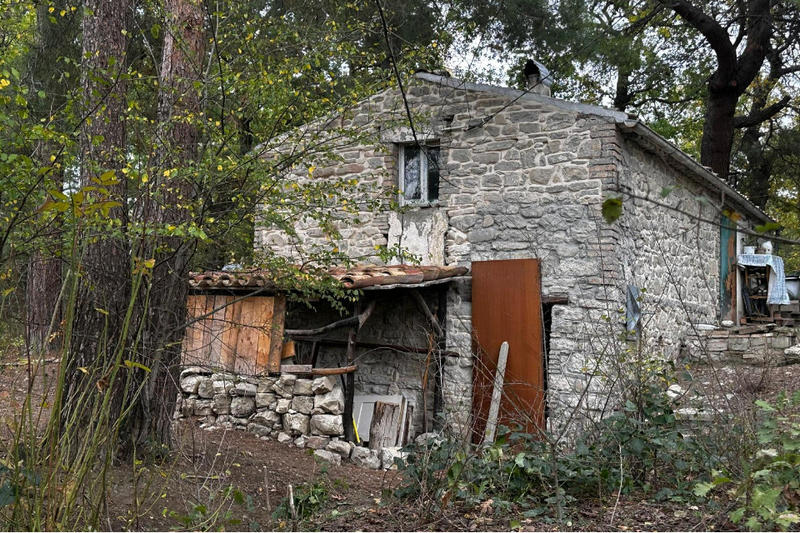 Libertà o controllo? I bambini del bosco che dividono l’Italia Libertà o controllo? I bambini del bosco che dividono l’Italia