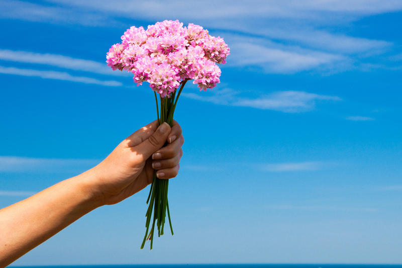 Летим на запах: модники выбирают отпуск носом