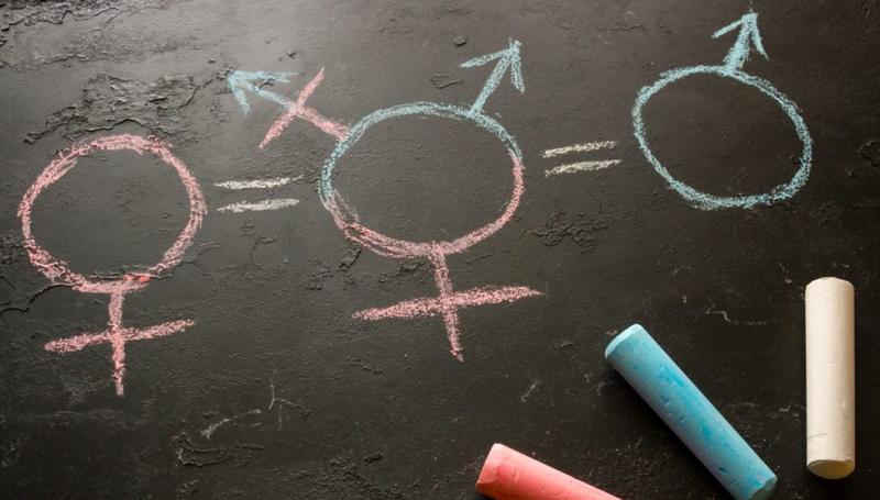 Activists are redefining ‘gender’ to save a collapsing narrative Activists are redefining ‘gender’ to save a collapsing narrative