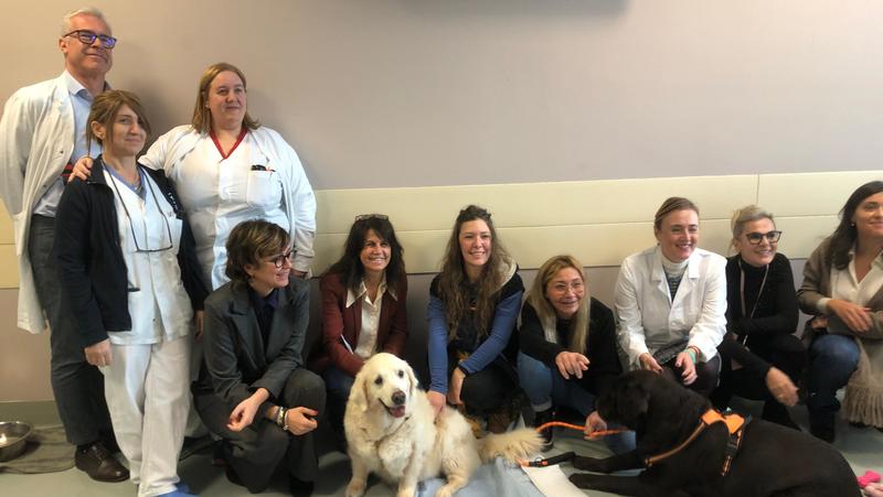 Cani e gatti potranno visitare i loro ‘padroni’ ricoverati, ecco il nuovo progetto alla Medicina d'Urgenza