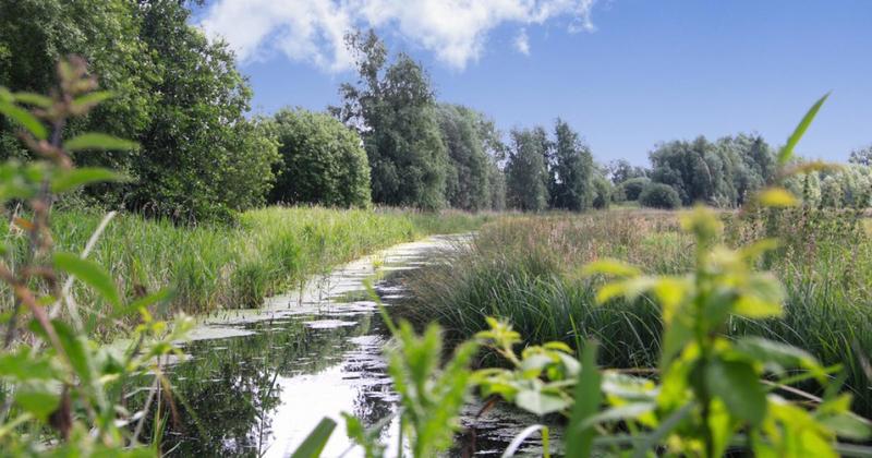 Joy as £775k raised for major new nature reserve