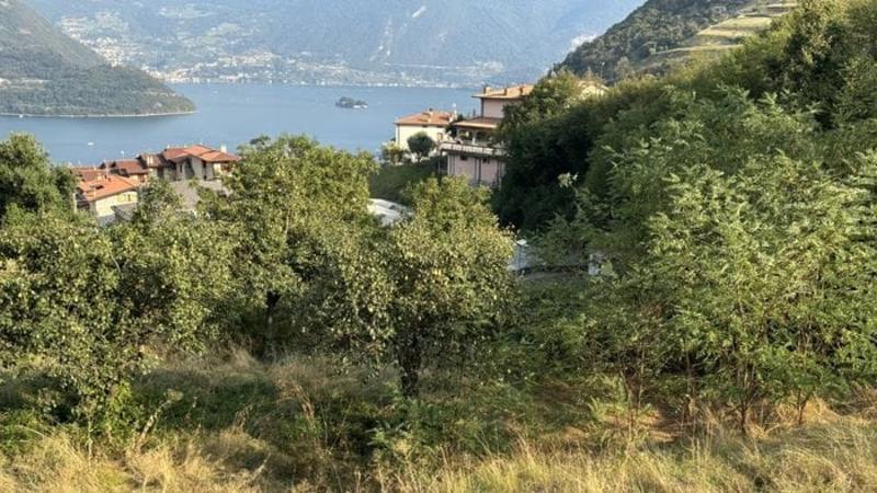 Tavernola, di nuovo alla carica per l’antenna 5G: «Area agricola, troviamo altre soluzioni» Tavernola, di nuovo alla carica per l’antenna 5G: «Area agricola, troviamo altre soluzioni»