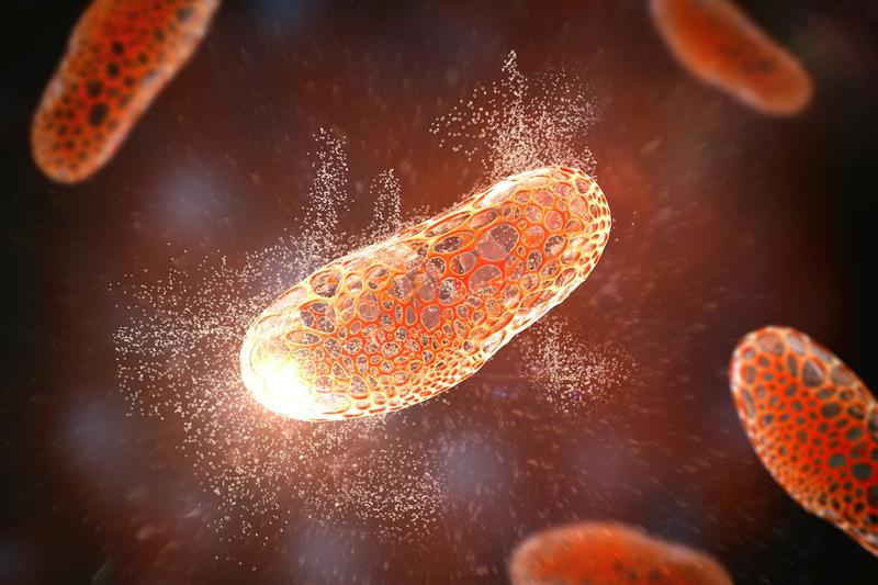 Una diminuta molécula podría acabar con las bacterias inmunes a los antibióticos
