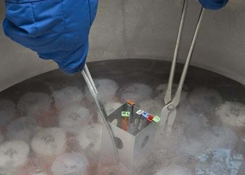 Lagosanto, inchiesta sugli embrioni: punita la dottoressa che segnalò le anomalie