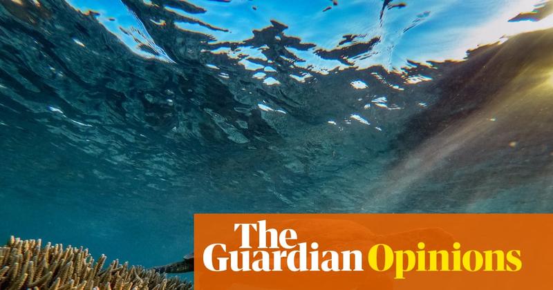 The rewriting of Australia’s nature laws comes as a relief, yet I can’t help feel a sense of foreboding