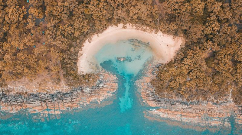 Long-sought environmental law reform is finally here. But will the compromise deal actually protect nature?