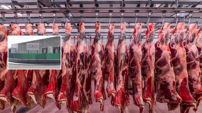 “Carne scaduta alla Bervini”, sulla denuncia di Report la dura replica dell’azienda: “Racconto impreciso e tendenzioso”