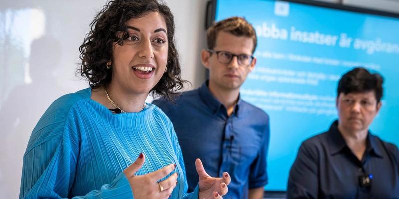 Flyborg och Darvik har rätt om Sverigedemokraterna