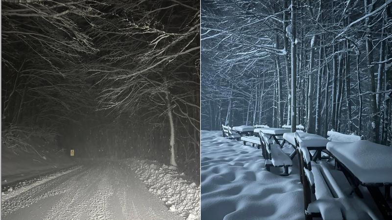 Neve e gelo in Emilia Romagna, allerta meteo per raffiche di vento