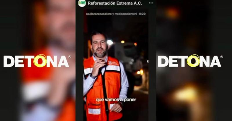 Ahuehuetes y Sequoias gigantes para la Explanada de los Héroes