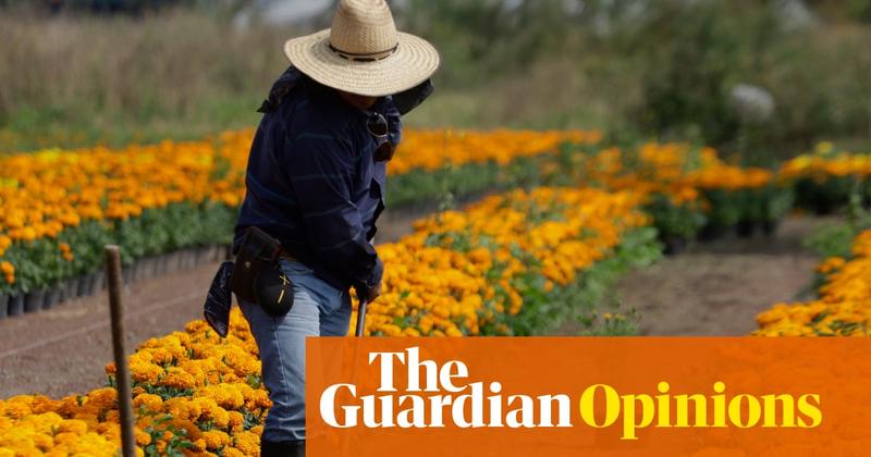 Food is medicine, and that’s a fact. Why we all need Native American foodways Food is medicine, and that’s a fact. Why we all need Native American foodways