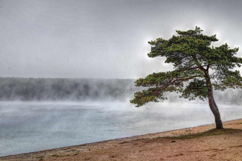 Quelle morti annunciate che ci interpellano. Ma cosa fare? Quelle morti annunciate che ci interpellano. Ma cosa fare?