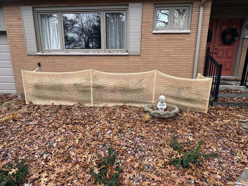 GARDEN CLIPPINGS: Protecting evergreens in winter