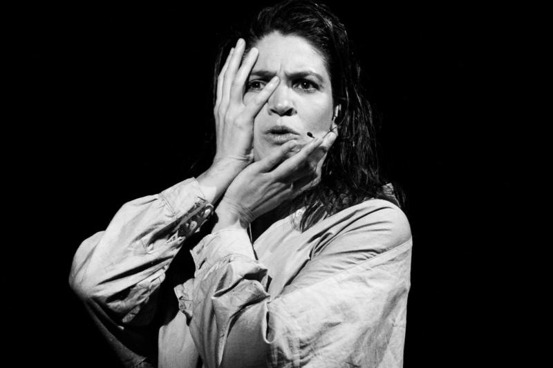 Espetáculo 'Escute as Feras' transforma ataque de urso em jornada filosófica