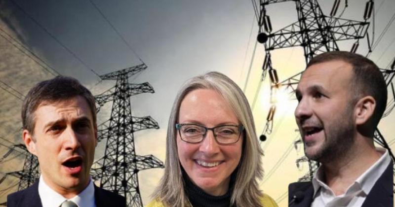 Green Party fractured over pylons after leader comments