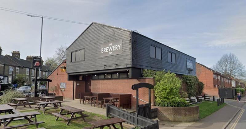 TV and radio star wades in to help name city pub's Christmas tree