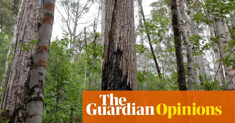 Australia finally acknowledges environment underpins all else. That’s no small thing
