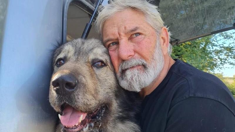 Hanno sparato a Bart: “Il mio cane in fin di vita, colpito da un proiettile e non è stato un errore”