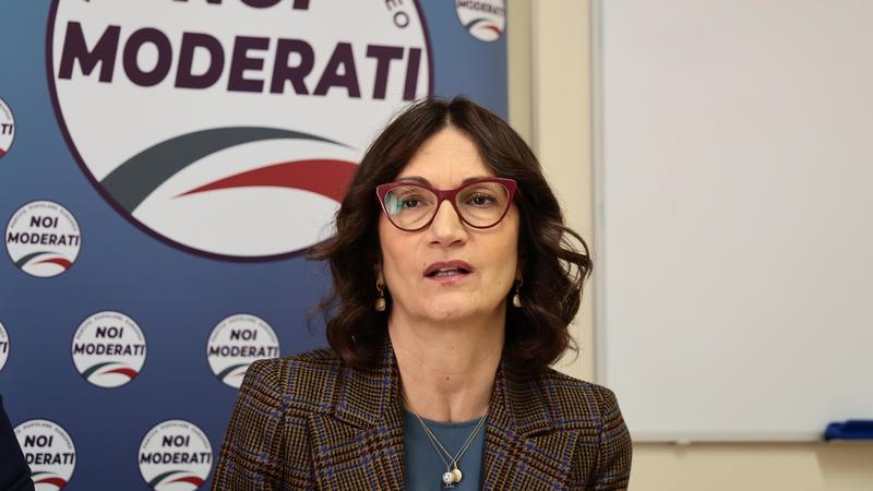 Legge sul consenso, Gelmini (Noi Moderati): “Nessuno vuole bloccarla”