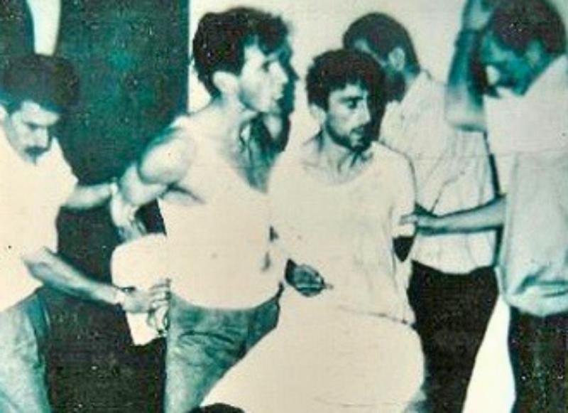 Yaşamımıza dokunan kırlangıçlar