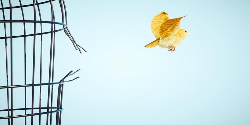 Aus freier Entscheidung