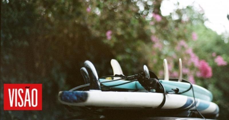 Como não falar de betos