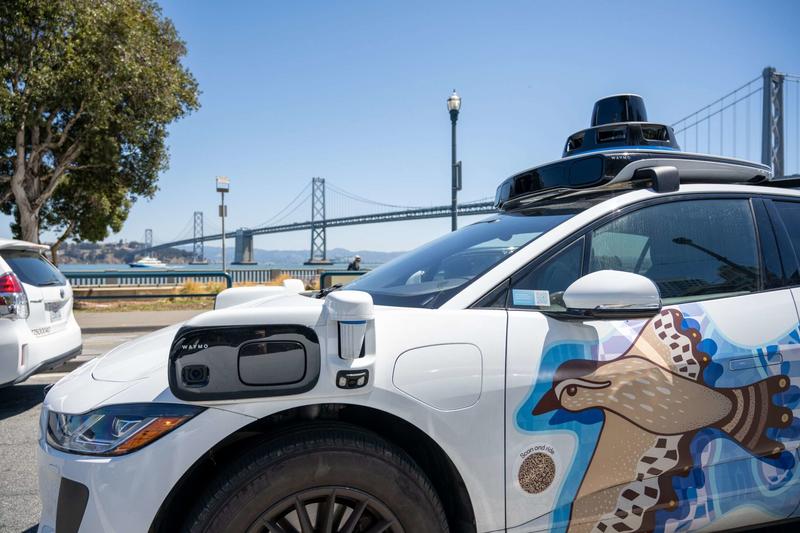 Self-Driving Cars Will Make the World Safer for Cats—and Humans Too