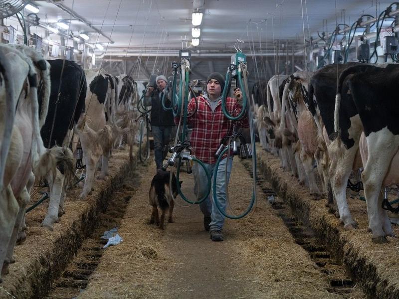 The Right Chemistry: Milk history does a body good