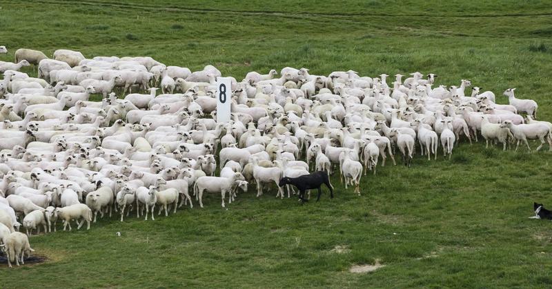 What’s So Bad About Being Average?