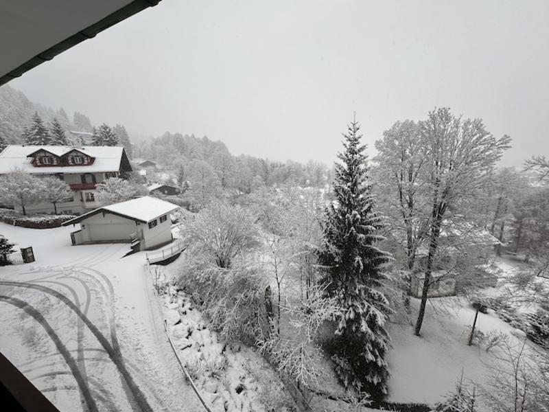 Wie tröstlich, dass viele Kriminelle zugleich strohdumm sind