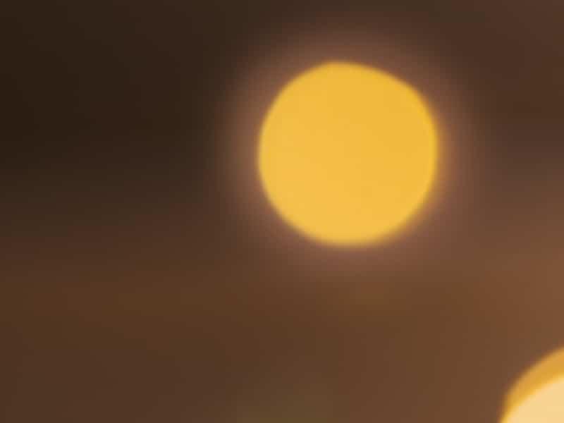 Les 30 meilleurs cidres et spiritueux