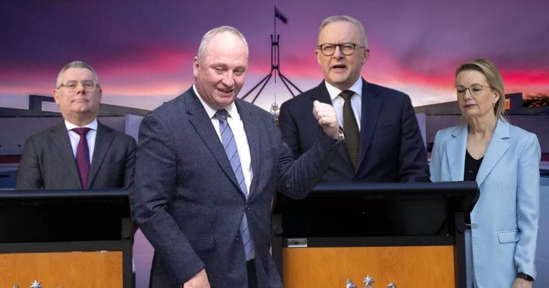 Labor victory, Coalition woes to end political year