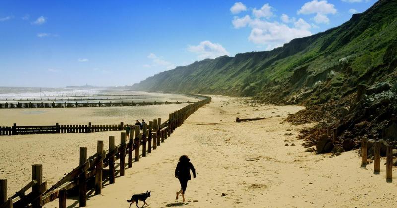 Dog bans and restrictions on beaches and inland set to be reviewed Dog bans and restrictions on beaches and inland set to be reviewed