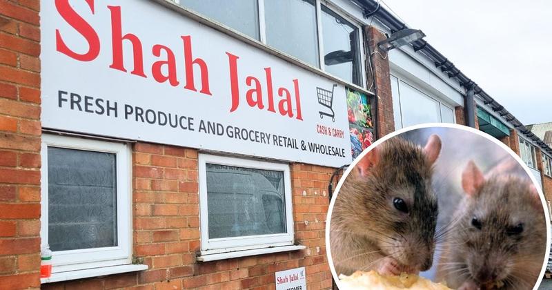 Rat-infested cash and carry shut down over hygiene concerns Rat-infested cash and carry shut down over hygiene concerns