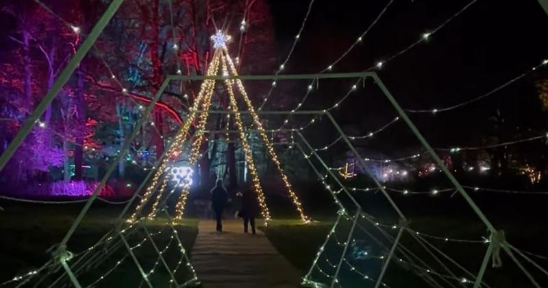 New 'magical' light trail and alpine bar launches at Norfolk woodland