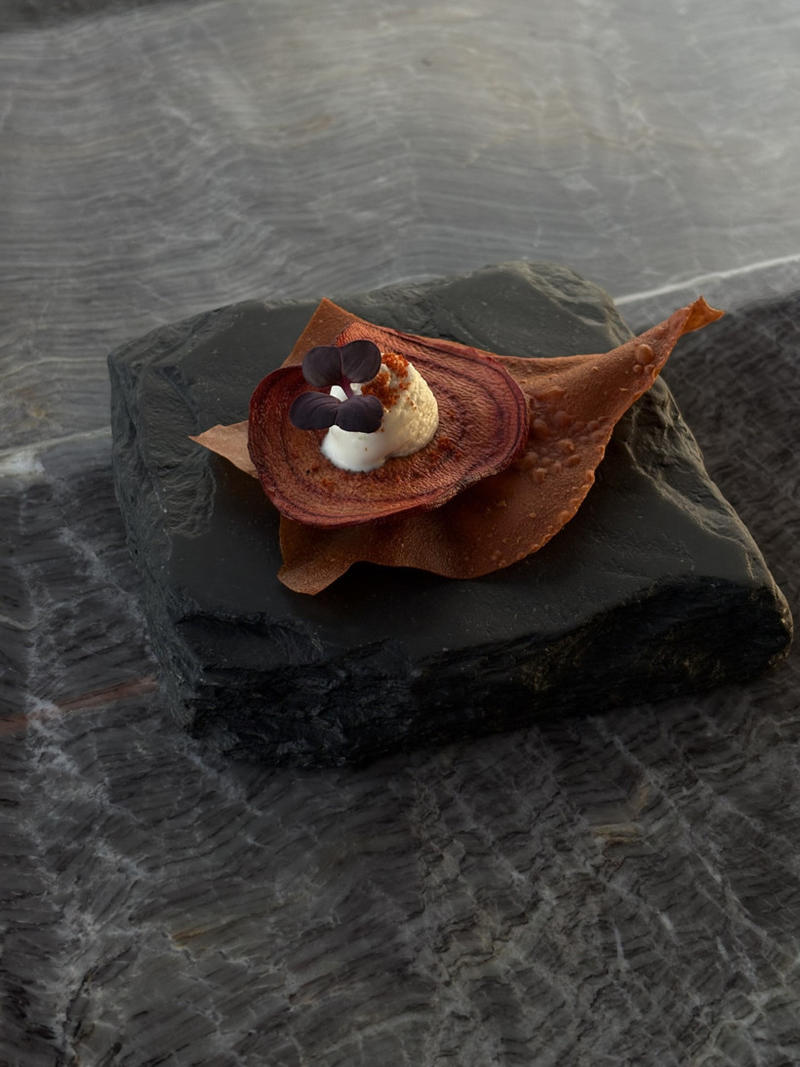 Hafıza ve Lezzet Yolculuğu Hafıza ve Lezzet Yolculuğu