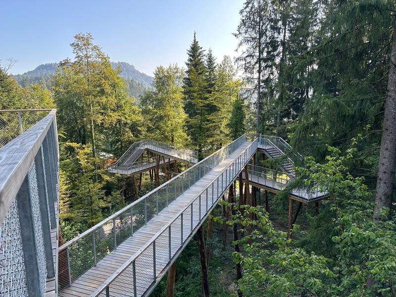 Holzbau im Kanton Zug: Tradition, Innovation und Klimawirkung