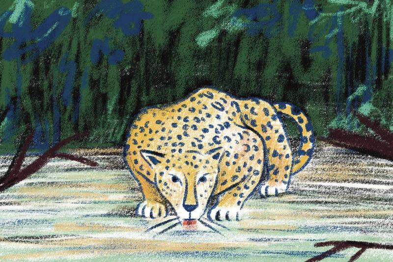 Quando Celso de Mello enxovalhou o general Villas Bôas